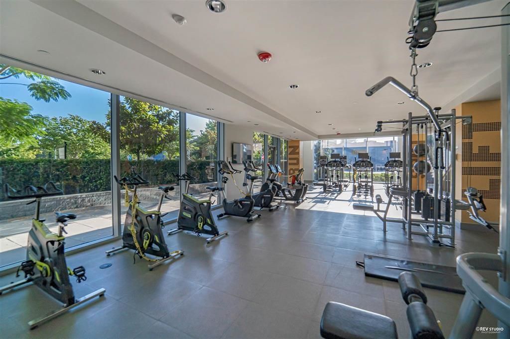 listing image 1100164853318818840