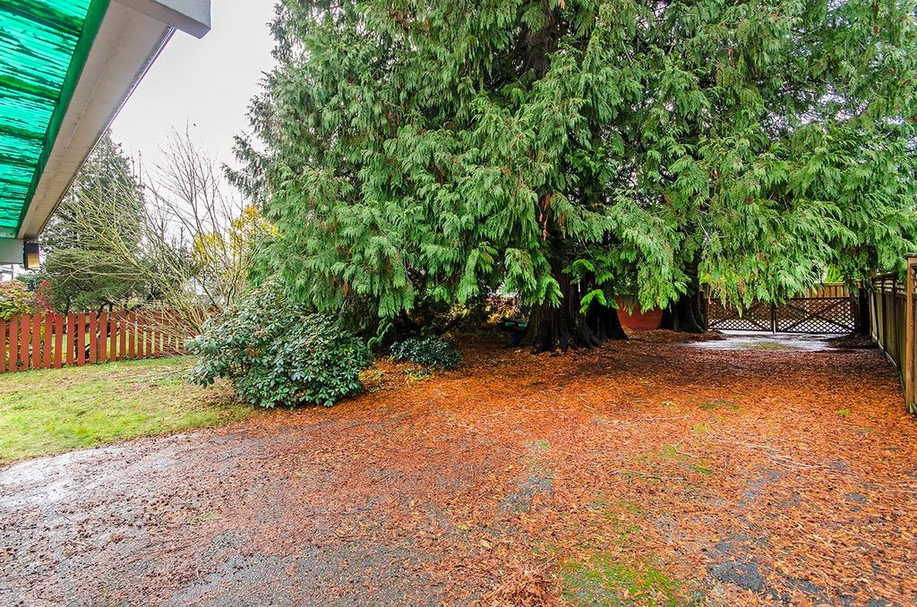 listing image 1108420683073446260