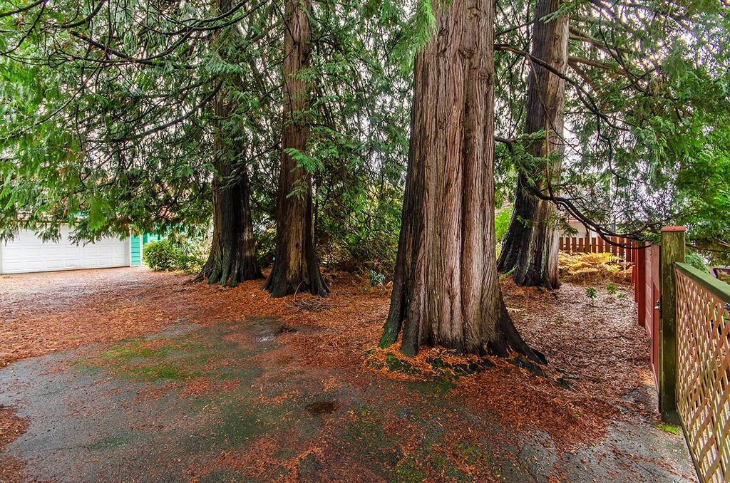 listing image 1109356252696234252