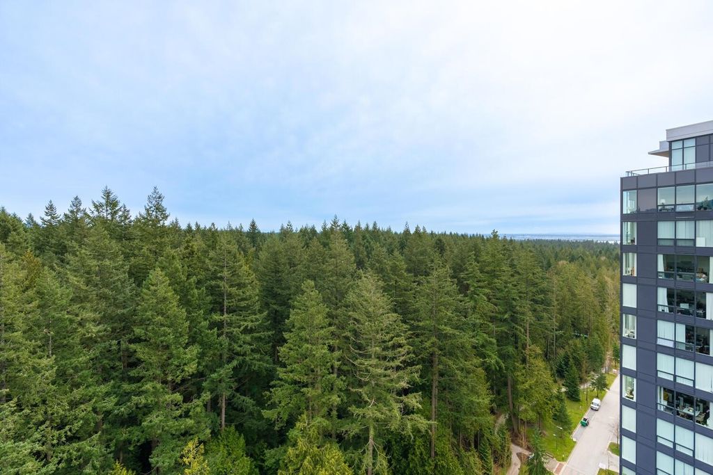 listing image 1108825545140381690