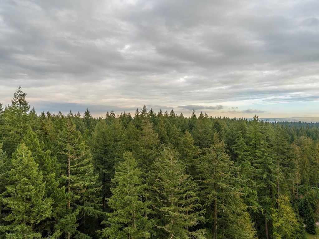 listing image 1103252290344315048