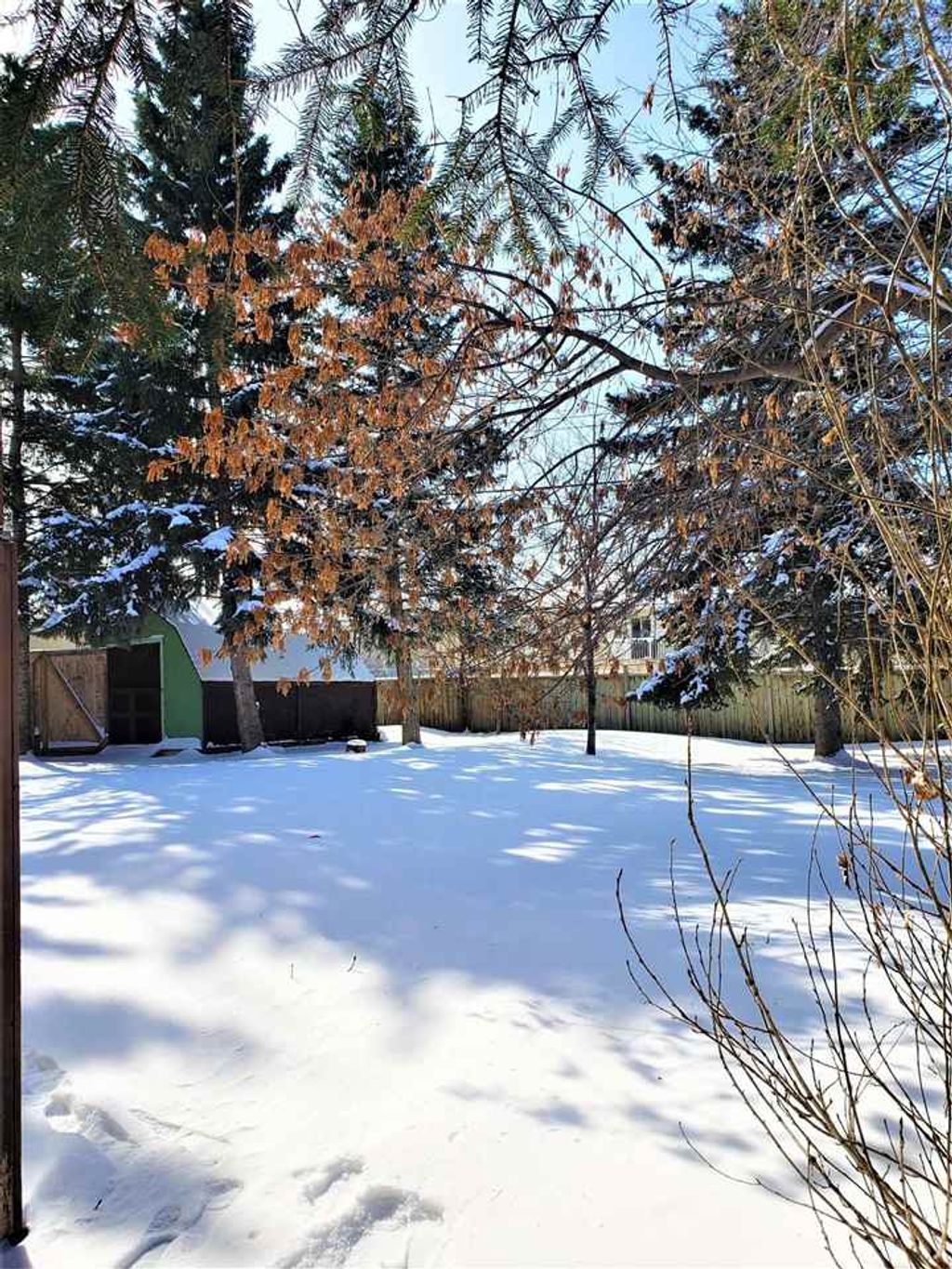 listing image 1104201339918640608