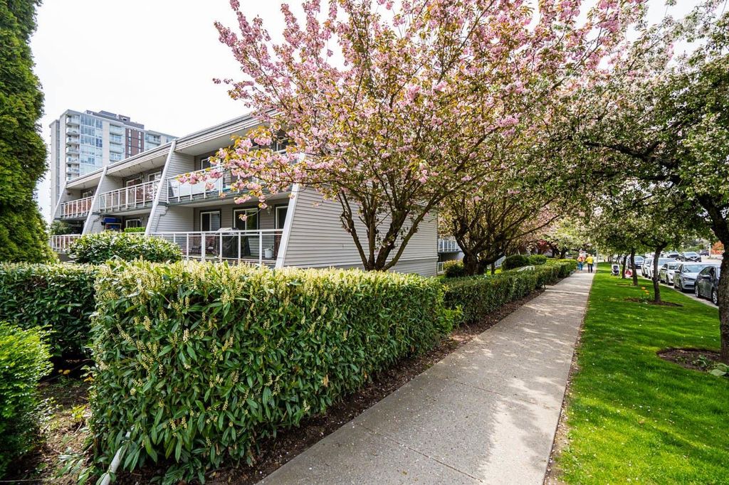 listing image 1106472333770305380