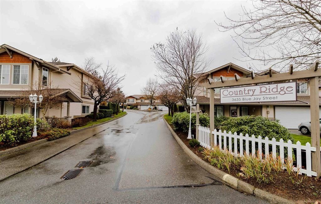 listing image 1102555995130829110
