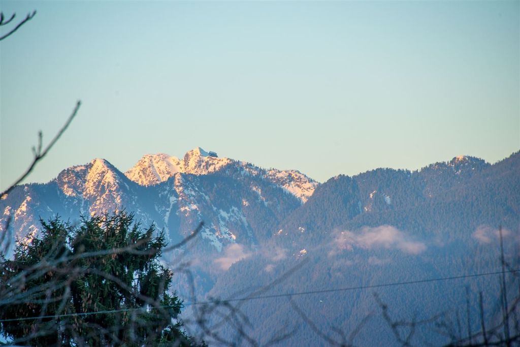 listing image 1107390536880234310
