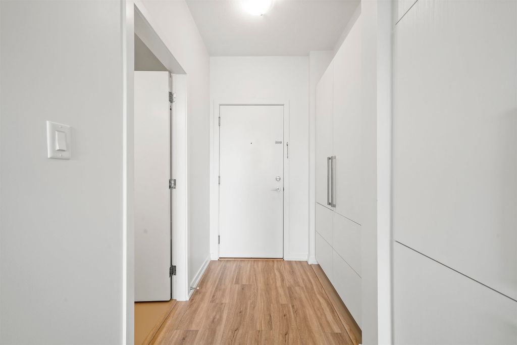 listing image 1100638054912682769