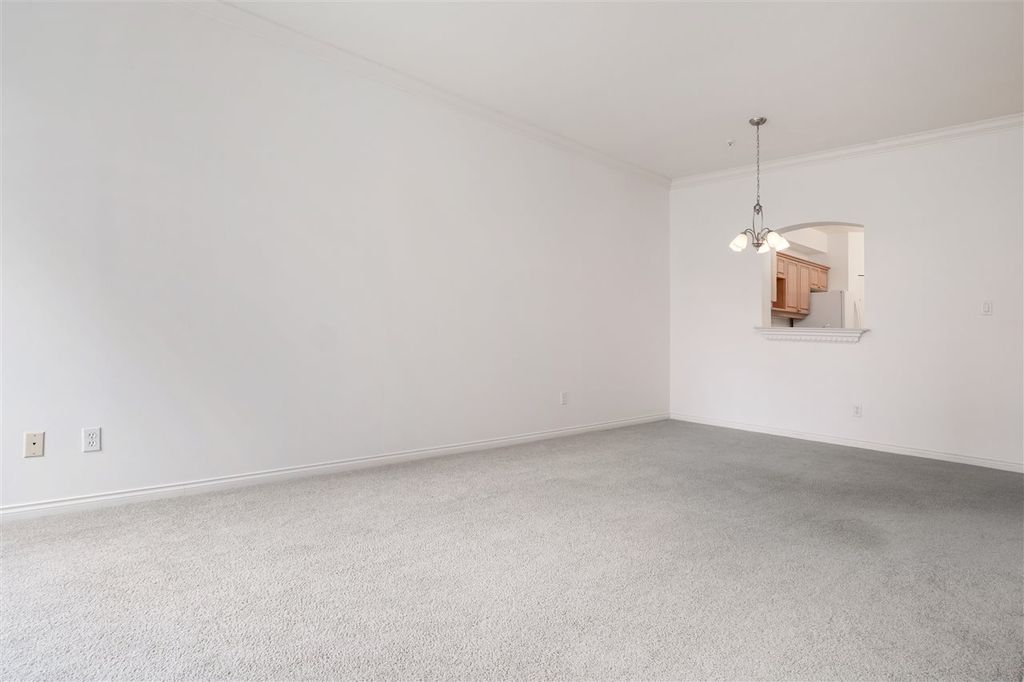 listing image 1104819651899459250