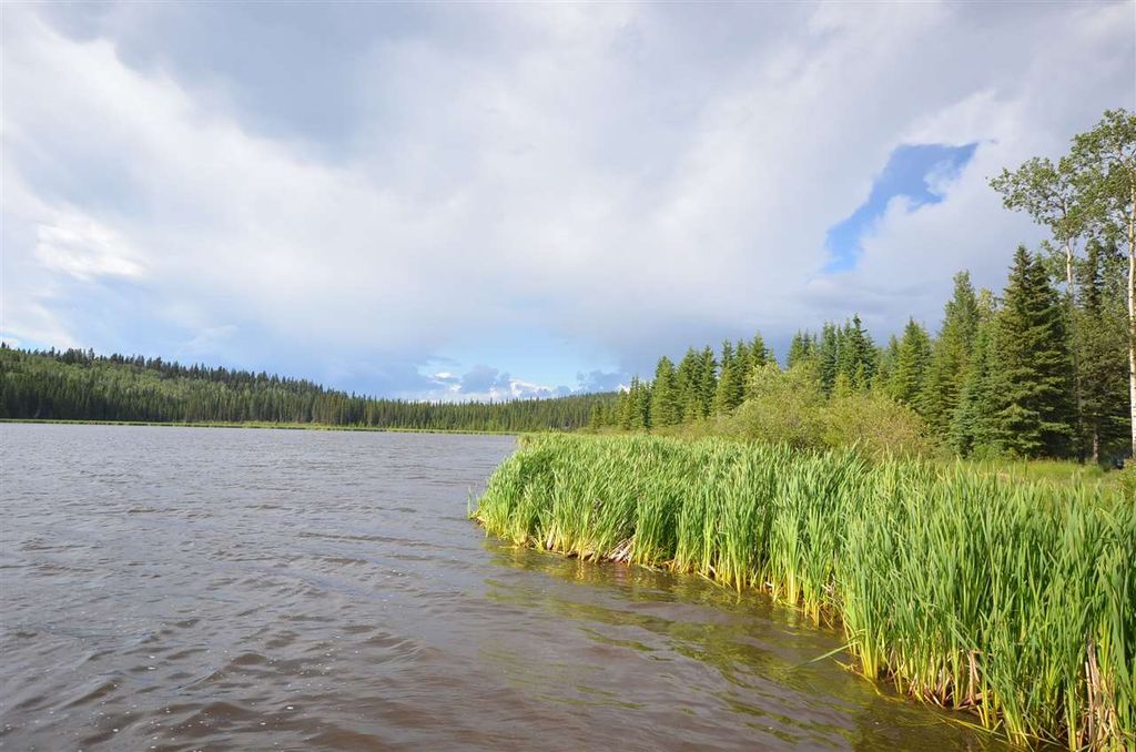 listing image 1104579421439382144