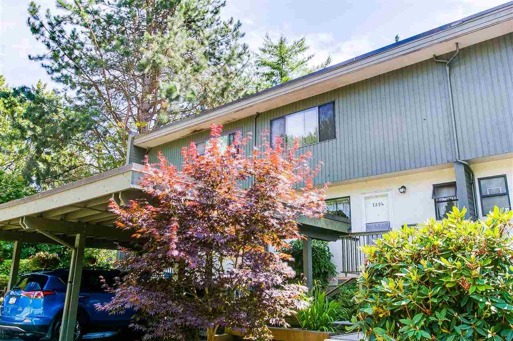 listing image 1105079131751206894