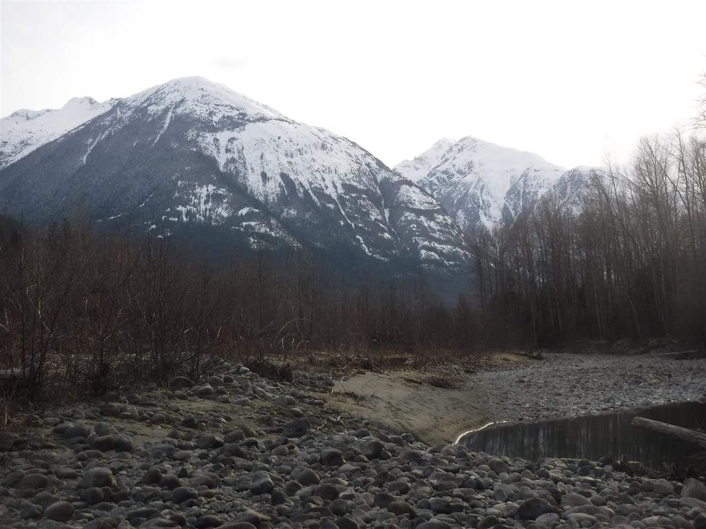 listing image 1109777941972748749