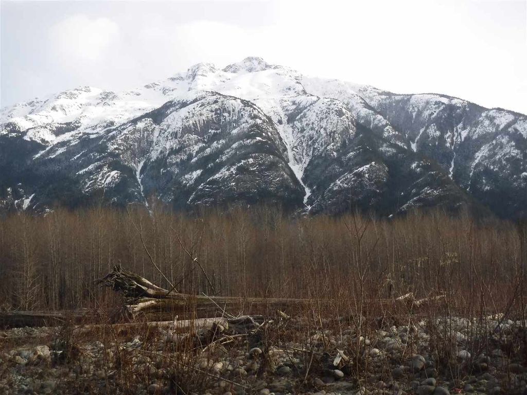 listing image 1101004188357957028