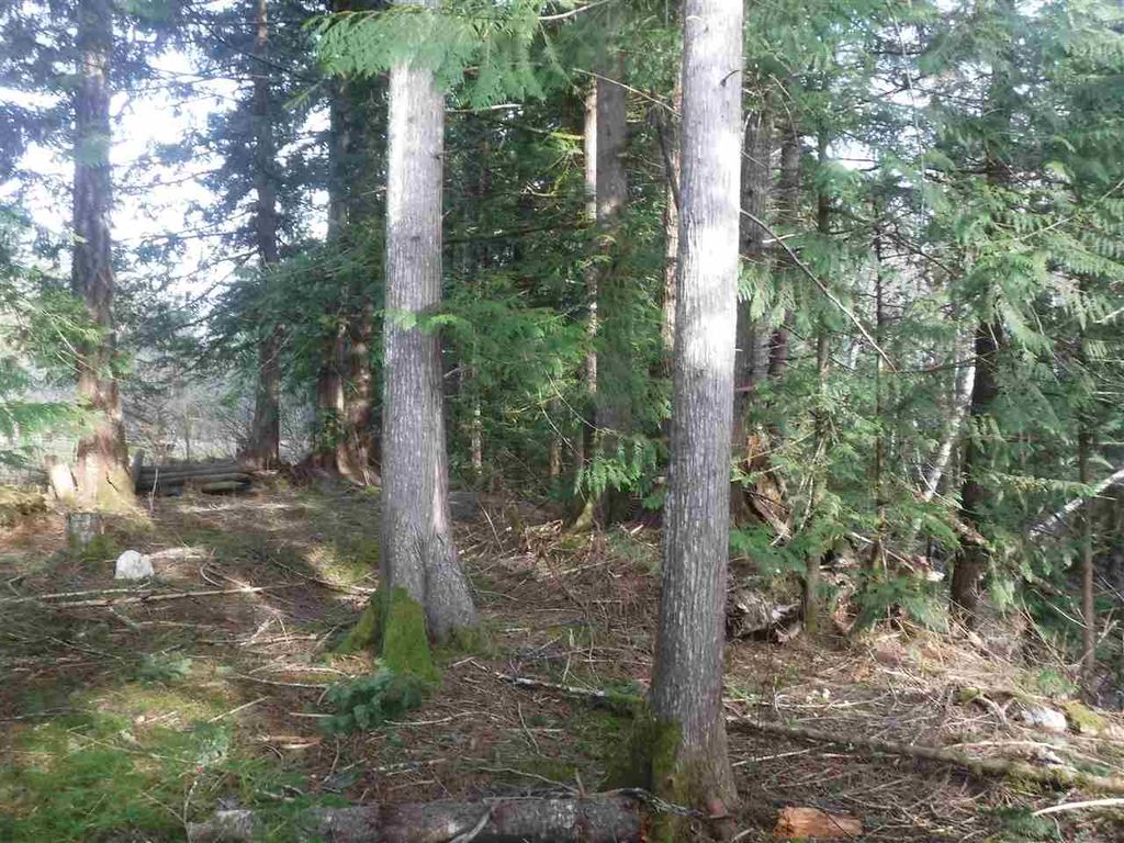 listing image 1107851321205521586