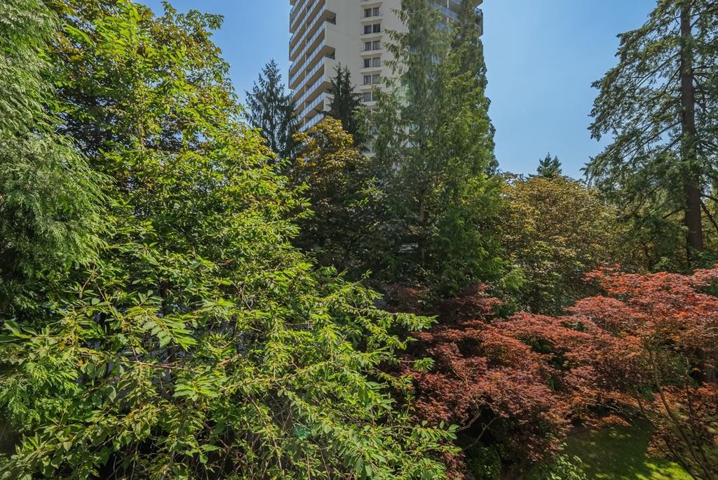 listing image 1103661401979276654