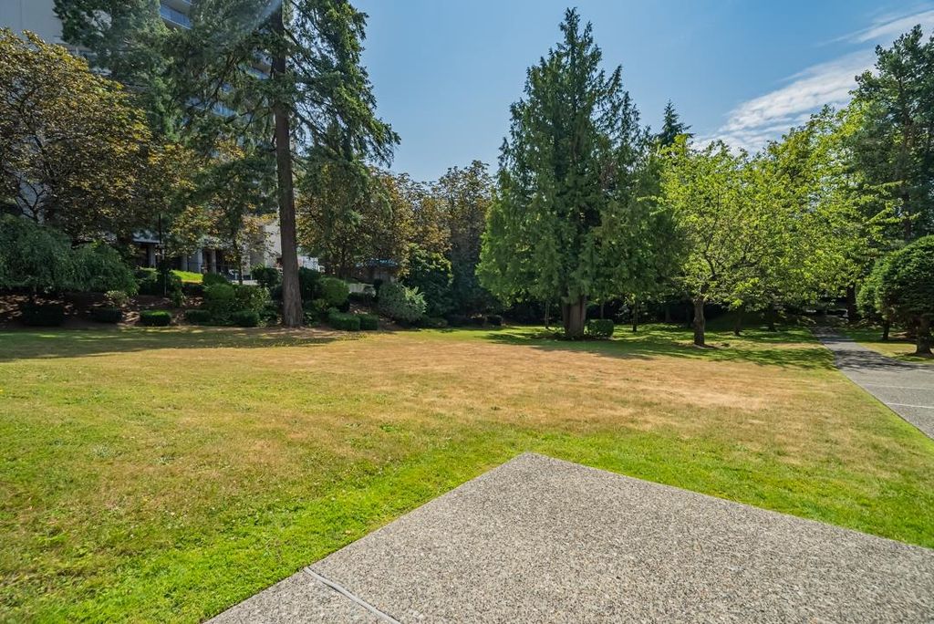 listing image 1104719406783216827