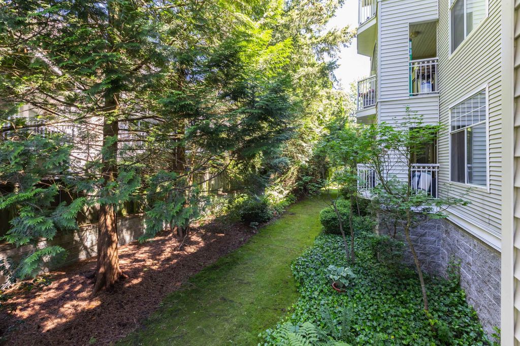 listing image 1102944107559181206