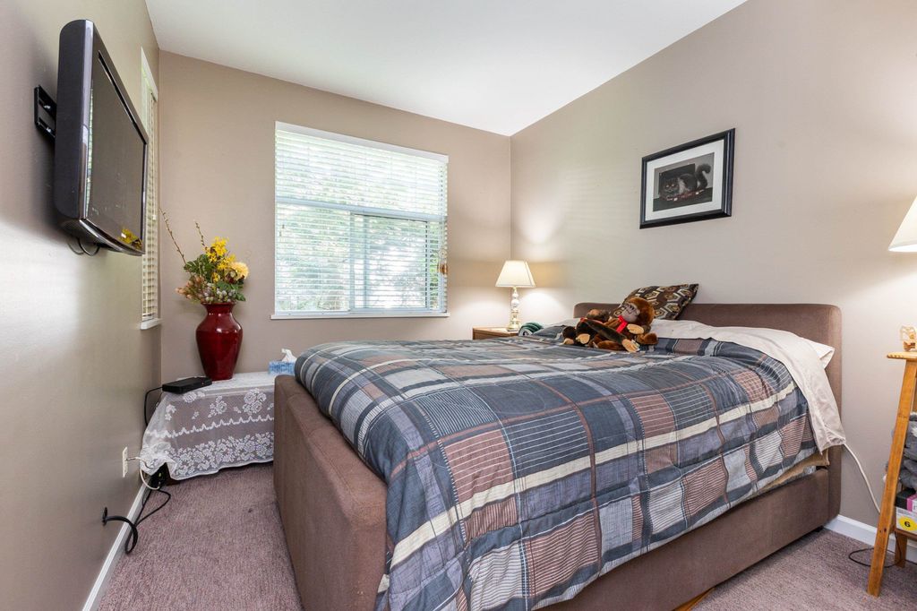 listing image 1100414376434653529