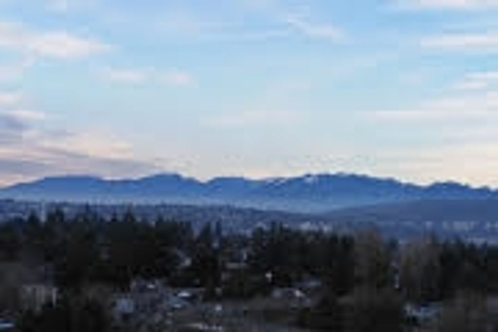 listing image 1101744941893960025