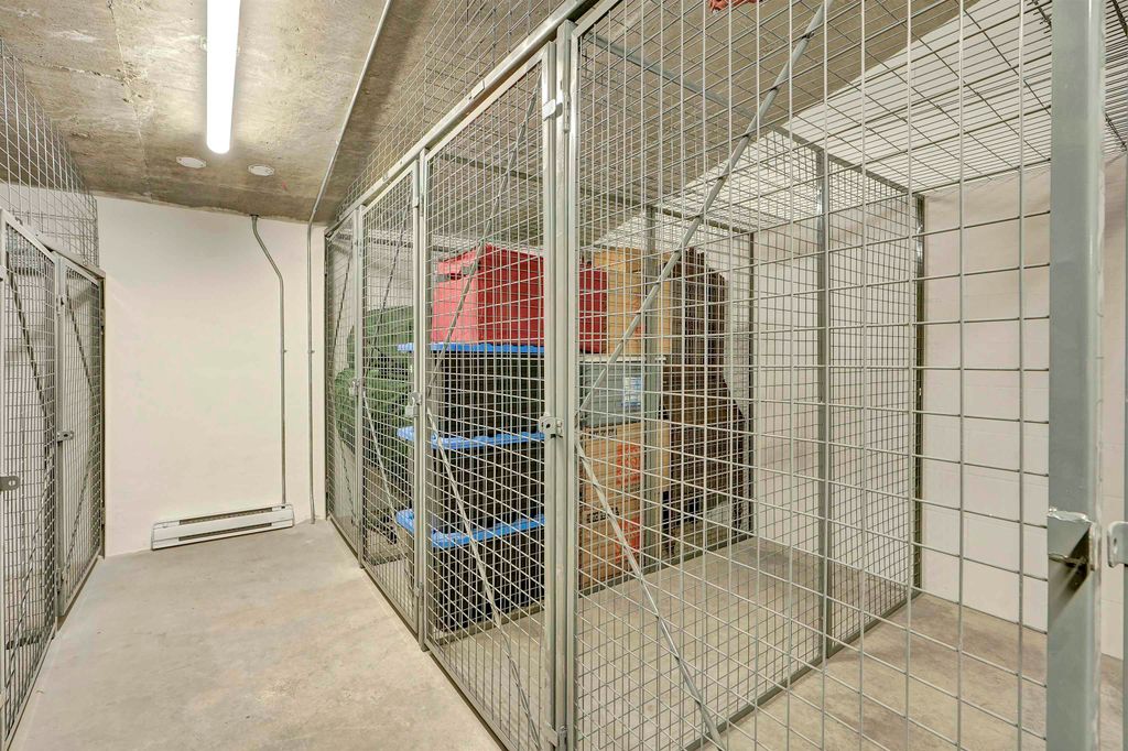 listing image 1105774262637419937