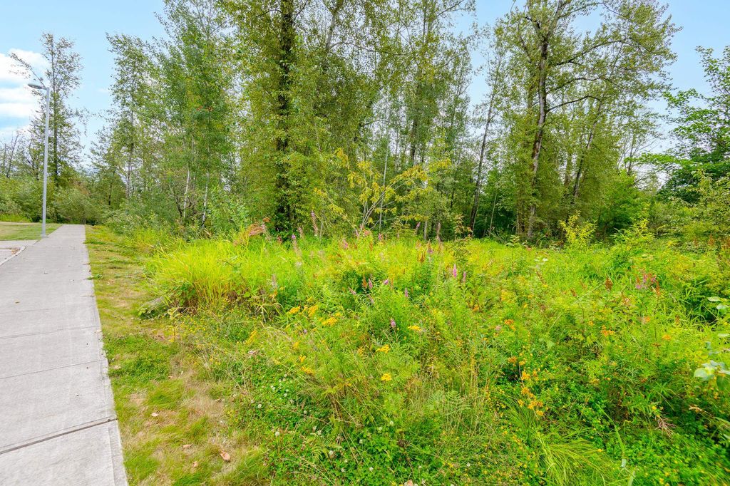 listing image 1100087663438128911