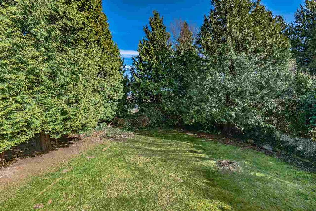 listing image 1107610016526820740