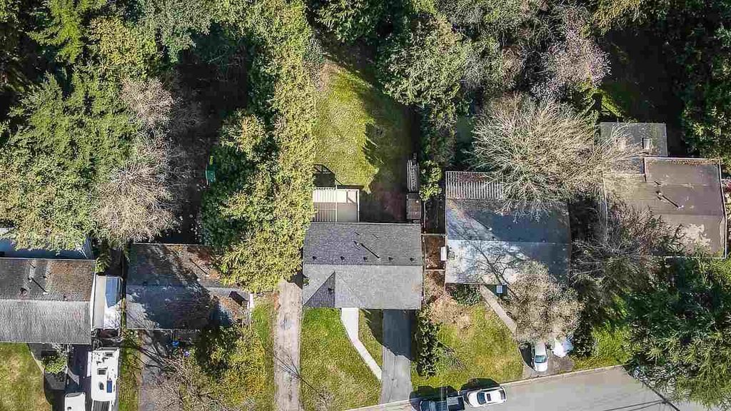 listing image 1106052812299578741