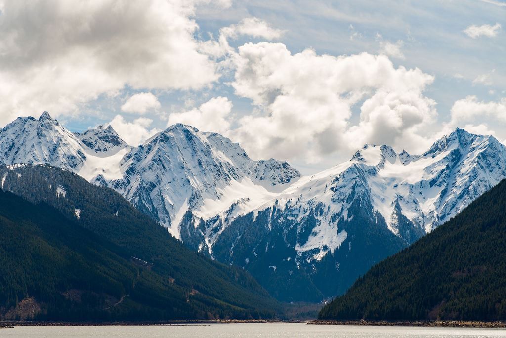 listing image 1106030507891833810