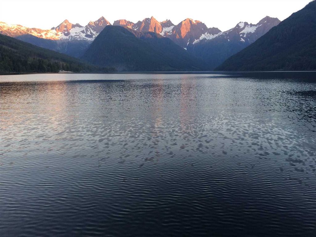 listing image 1103911366429314749