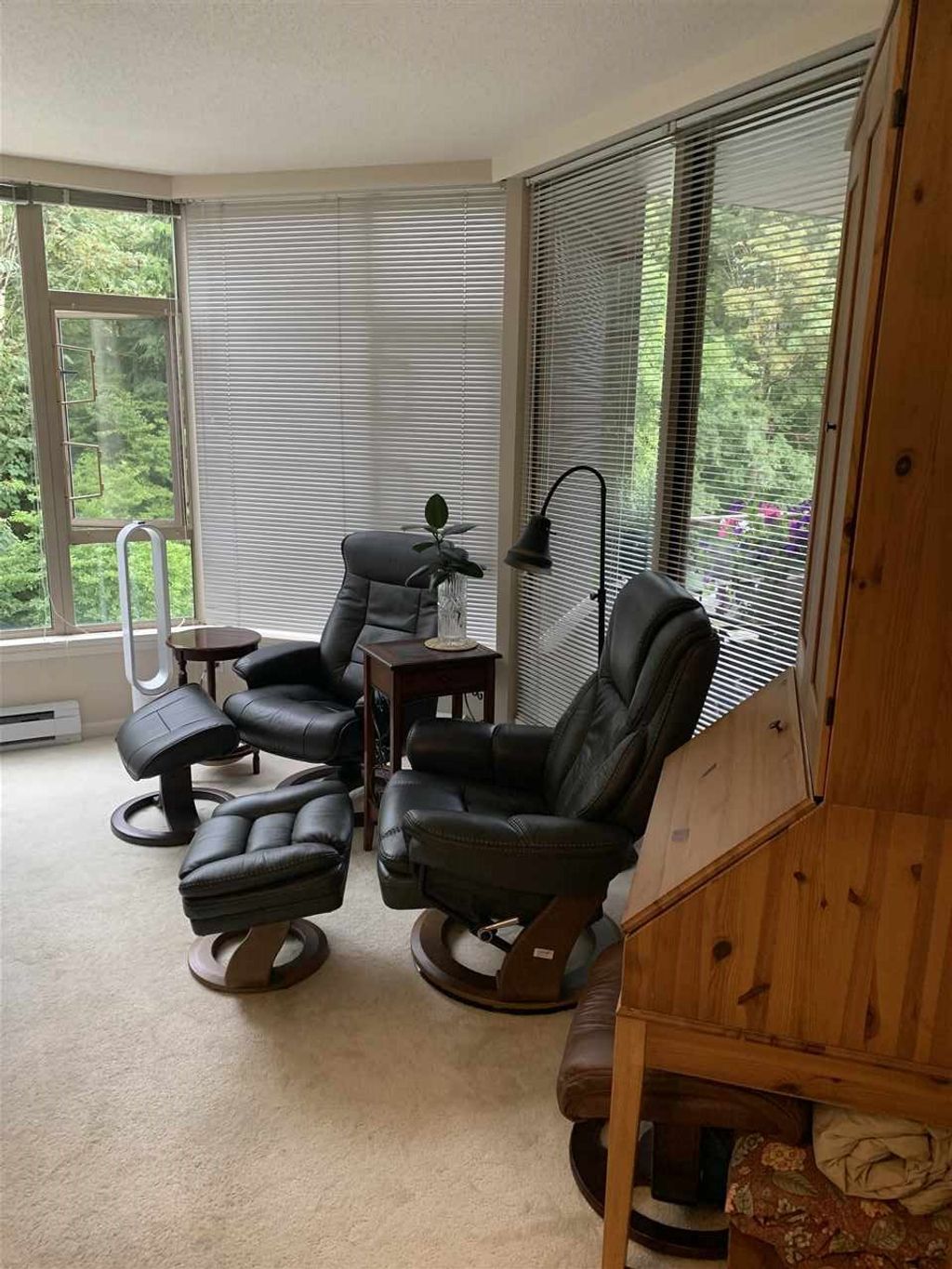 listing image 1100225114286963823