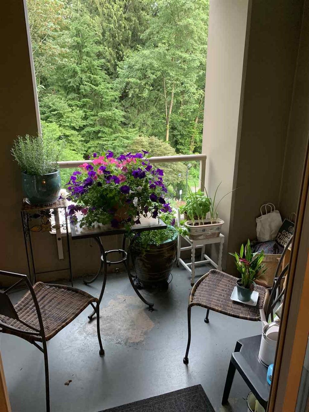 listing image 1102088331060807176