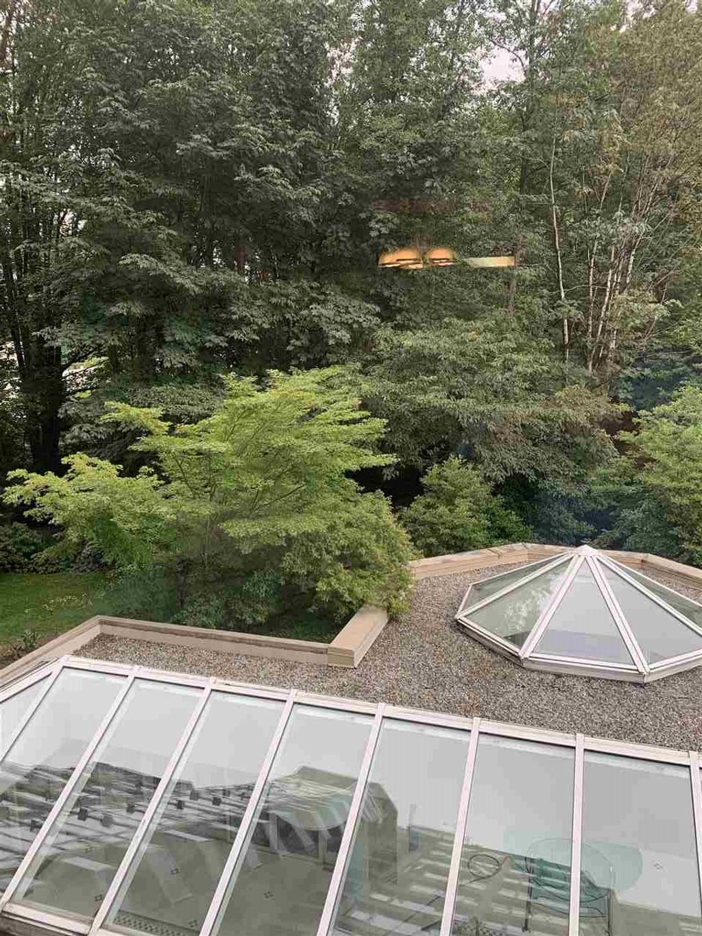 listing image 1106766175317812538