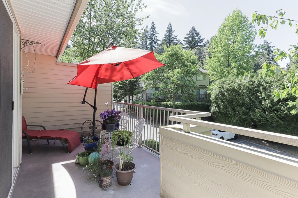 listing image 1106673006375637167