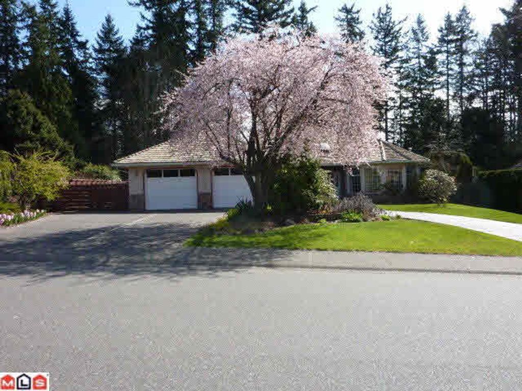 listing image 1104091912620109116