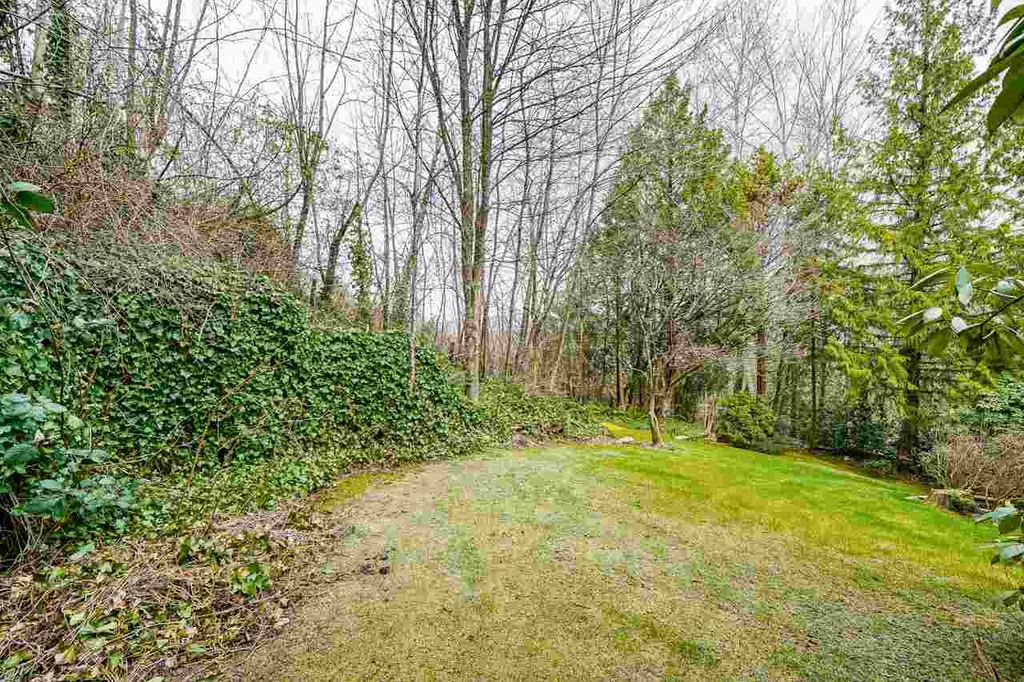 listing image 1107355236956476935