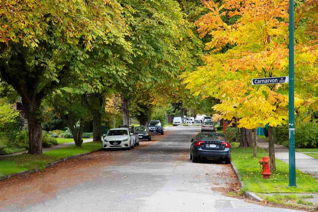 listing image 1102072180809327113