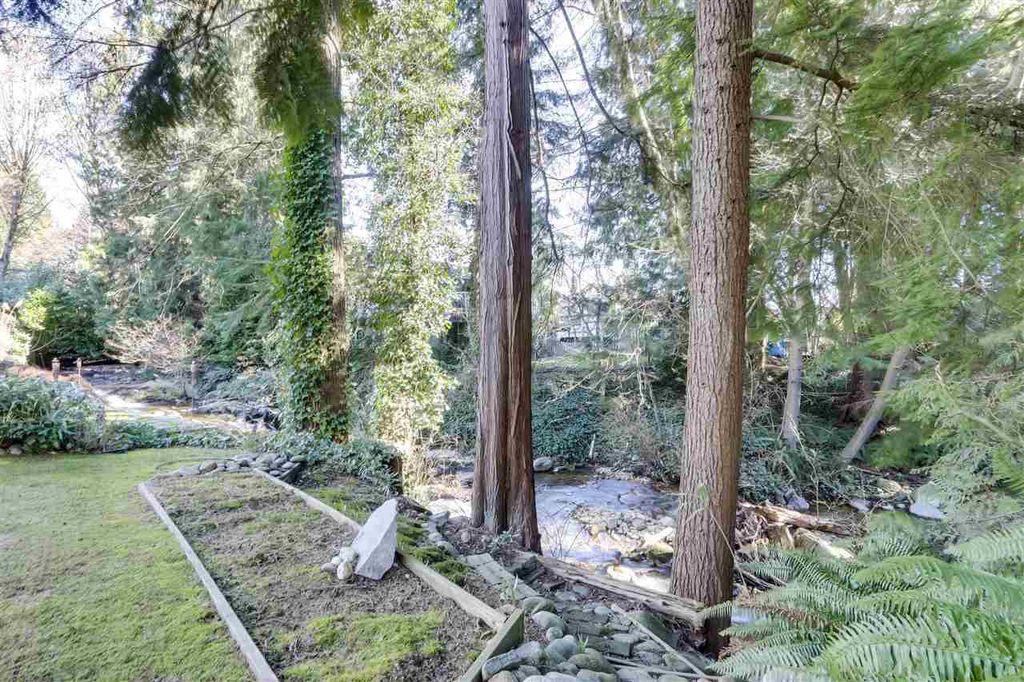 listing image 1101082870354866175