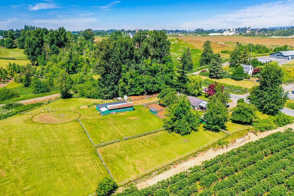 listing image 1100257713744264529