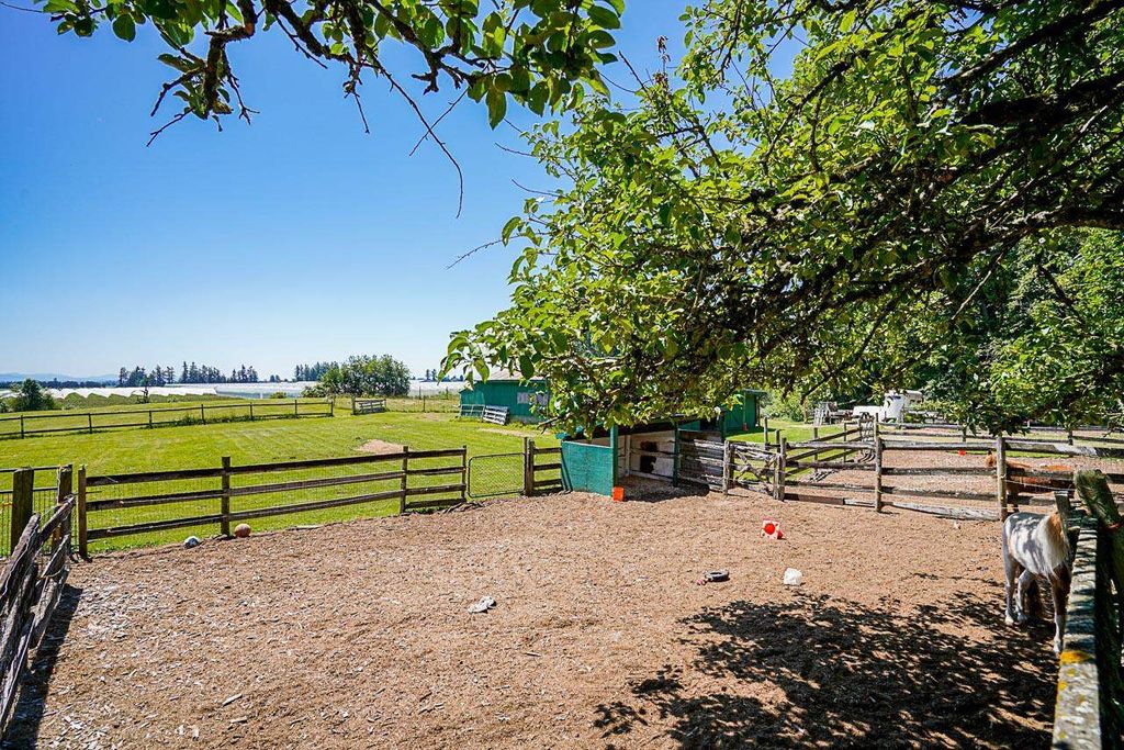 listing image 1102496204030255794
