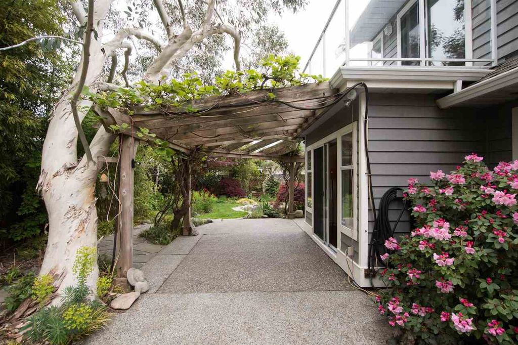 listing image 1107325412307199565