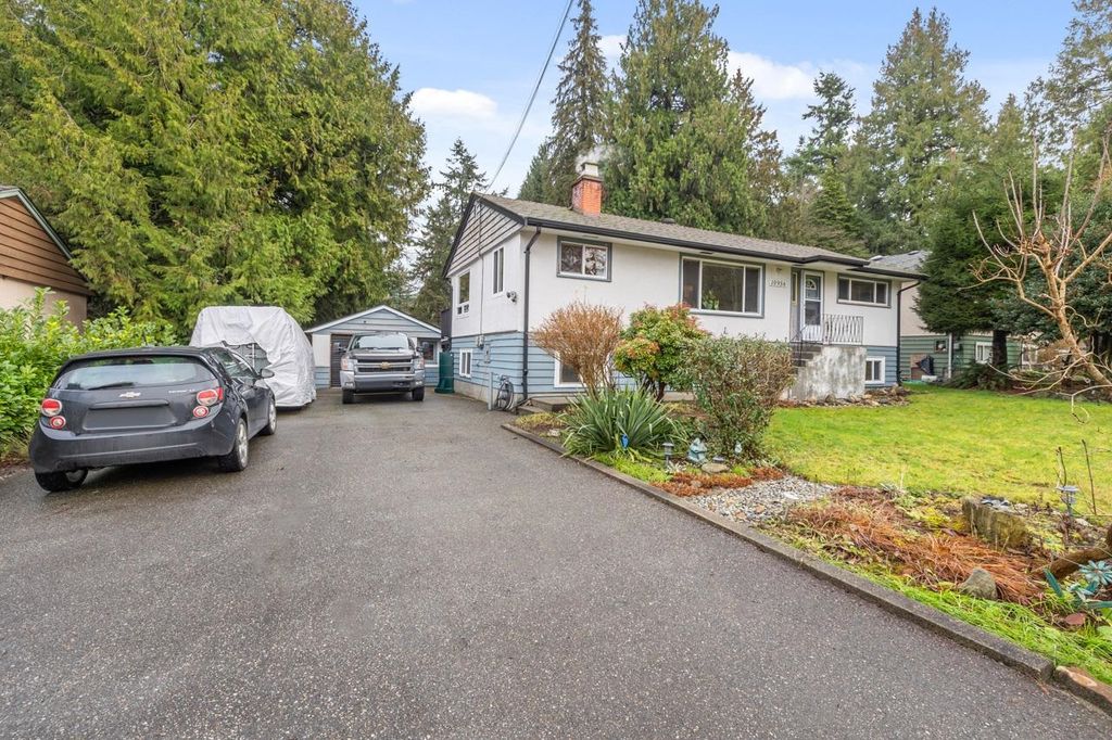 listing image 1109418469908415601