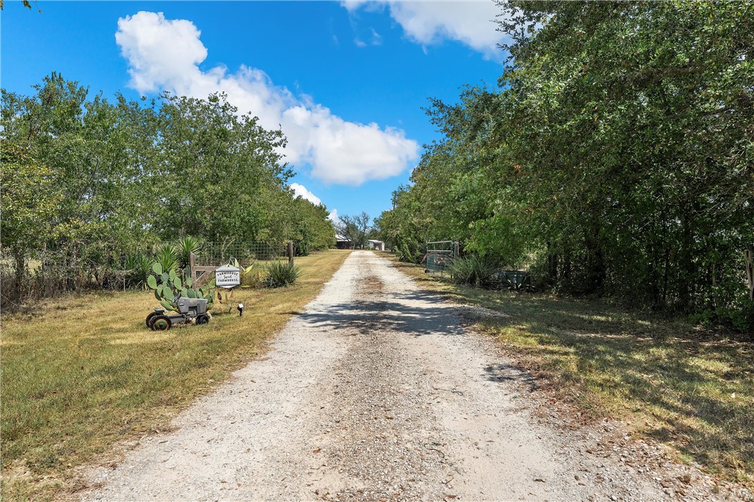 290 Odle Lane, Valley Mills, Texas image 31