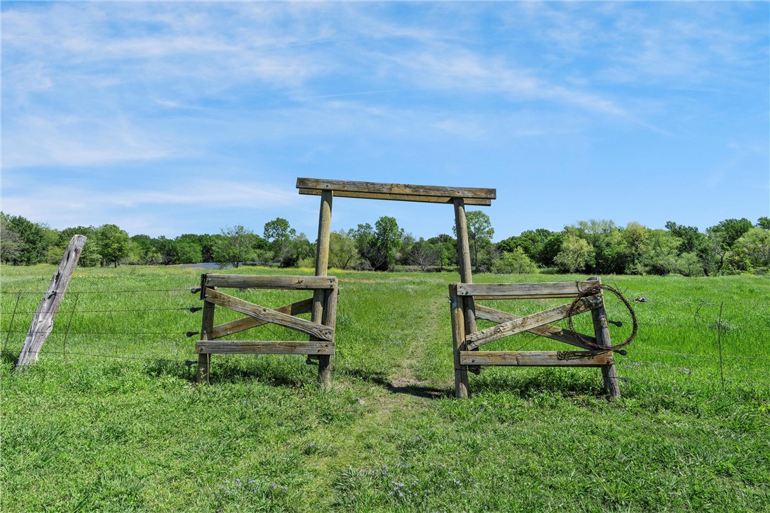 297 Kelinske Road, Elm Mott, Texas image 41