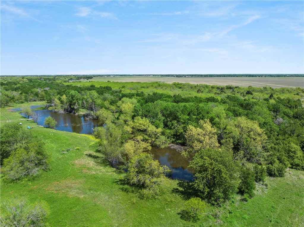 297 Kelinske Road, Elm Mott, Texas image 45