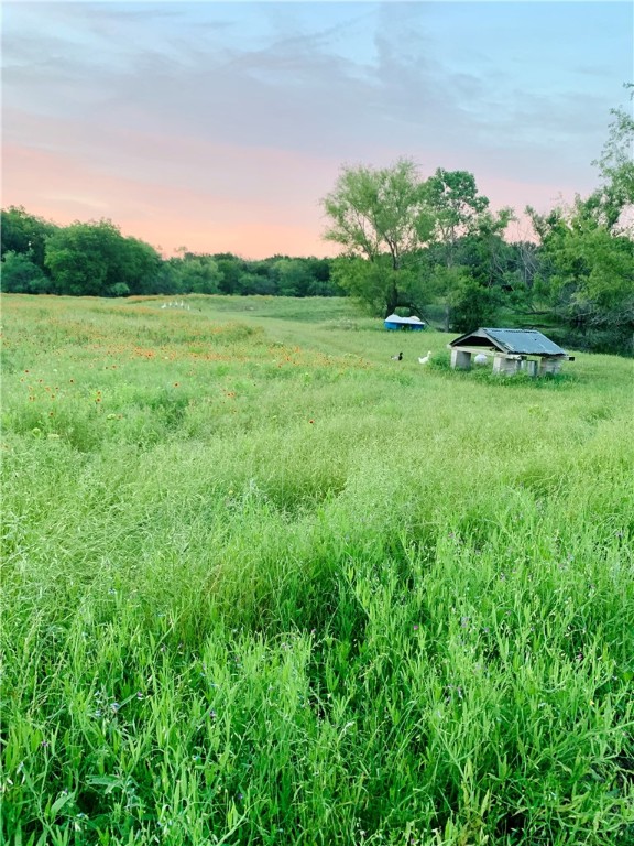 297 Kelinske Road, Elm Mott, Texas image 50