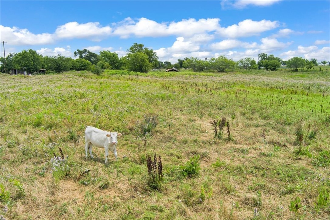 7 7 Mile Lane, Riesel, Texas image 10