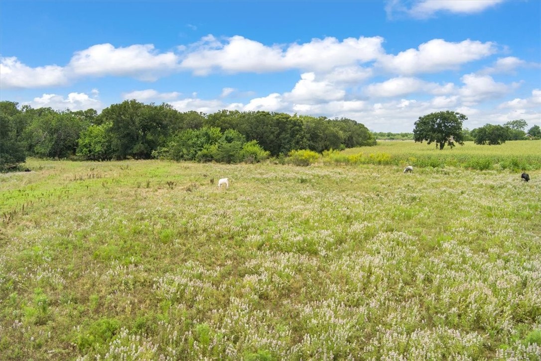 7 7 Mile Lane, Riesel, Texas image 11