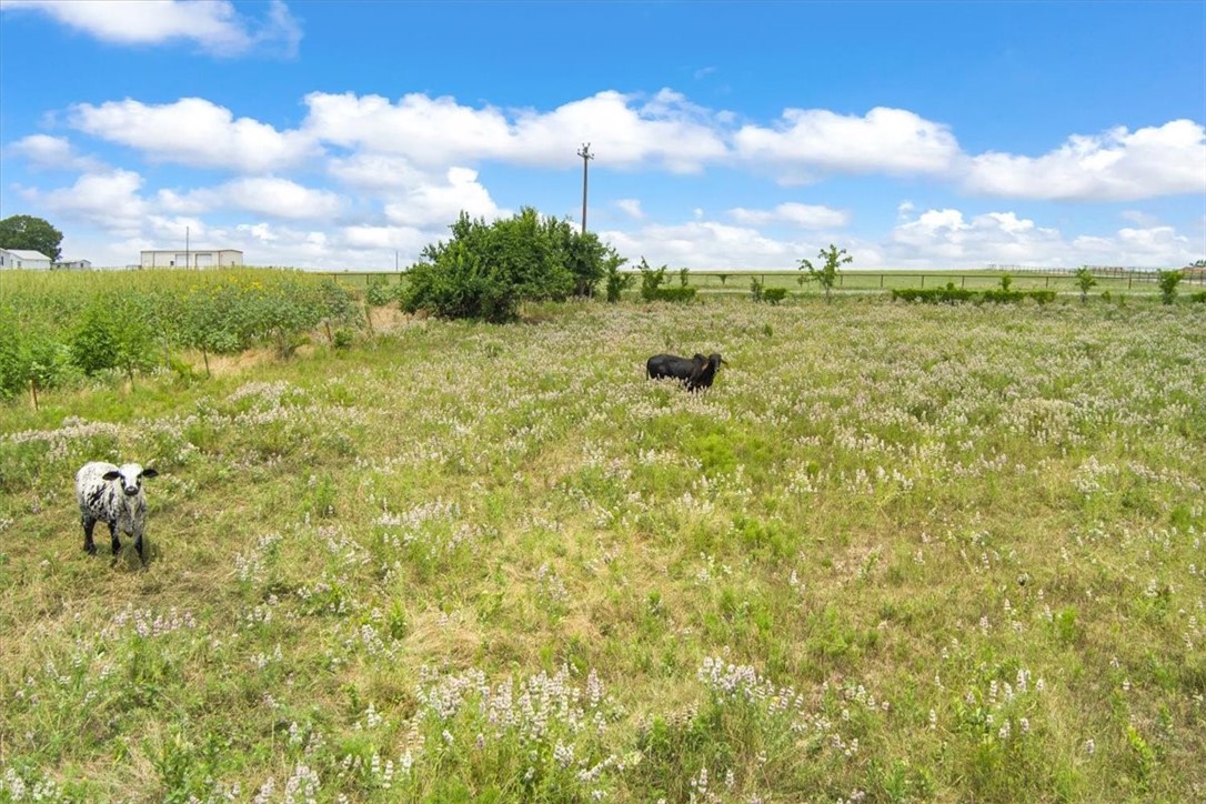 7 7 Mile Lane, Riesel, Texas image 9