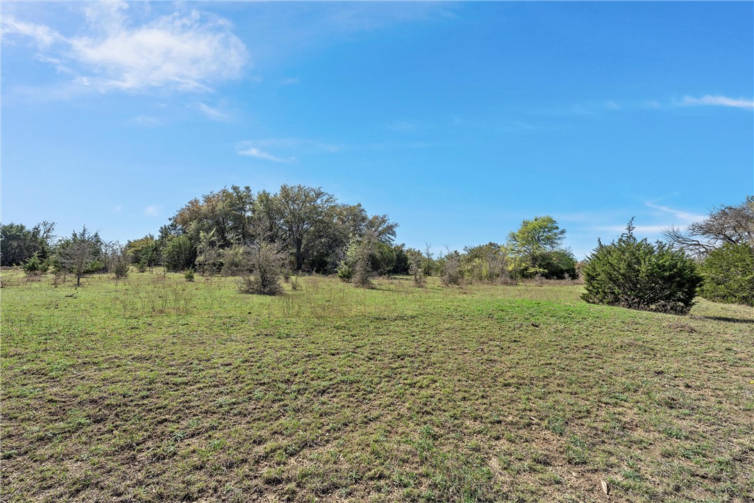 TBD Tract 1 126.39 Acres Dan Morgan Road, China Spring, Texas image 30