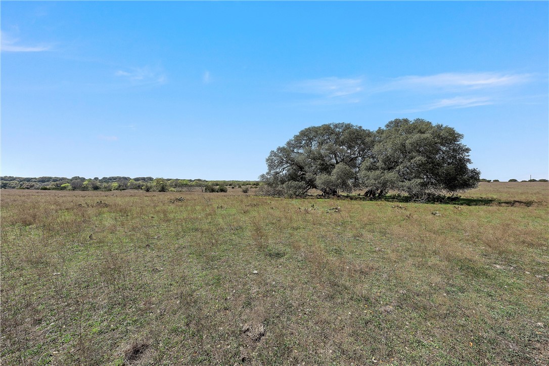 TBD Tract 1 126.39 Acres Dan Morgan Road, China Spring, Texas image 18