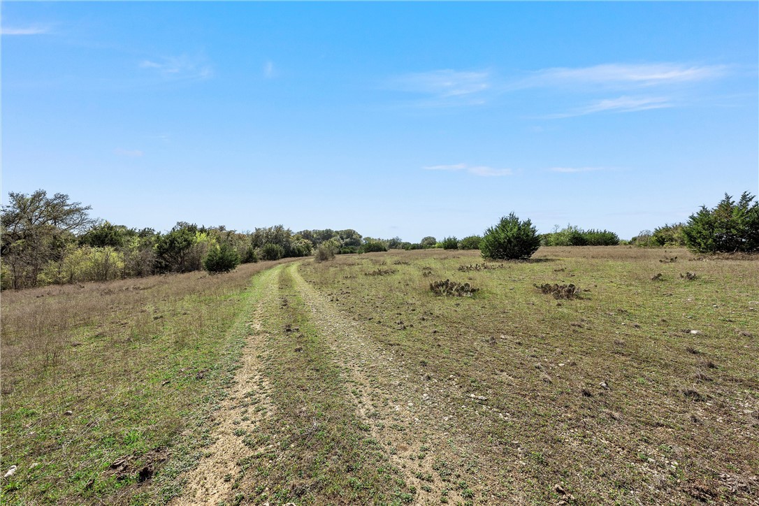 TBD Tract 1 126.39 Acres Dan Morgan Road, China Spring, Texas image 27