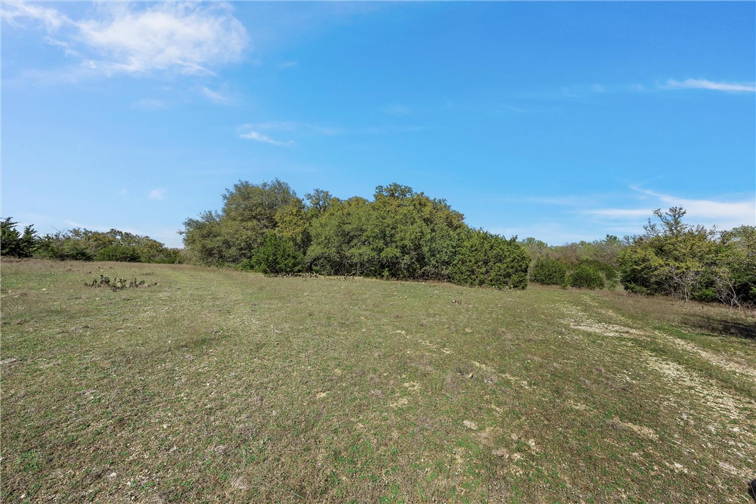 TBD Tract 1 126.39 Acres Dan Morgan Road, China Spring, Texas image 28